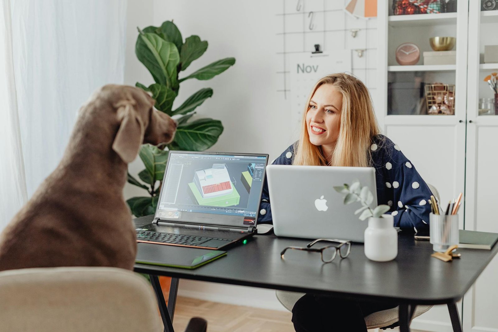 Barking Up the Right Tree: The Real Dog Owner’s Handbook